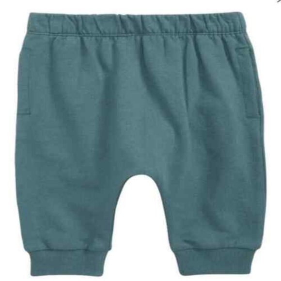 Open Edit Other - Open Edit Kids Babies' Organic Cotton Joggers In Teal Needle Size 6mos NWT